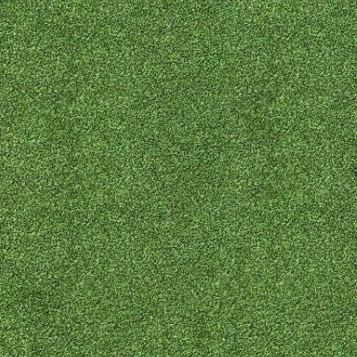 Rasen Hintergrund Textur