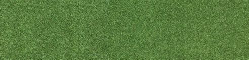 Rasen Hintergrund Textur